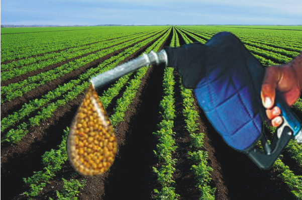 APROBIO CONSEGUE LIMINAR PARA SUSPENDER LEILÃO DE BIODIESEL
