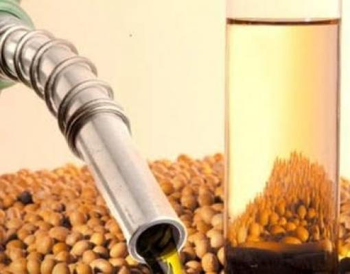 BIODIESEL DISPARA PELA FALTA DE ÓLEO DE SOJA
