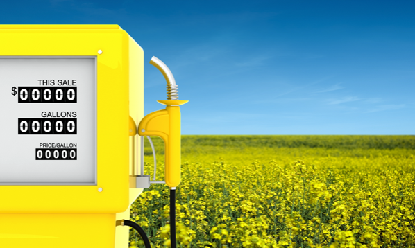 Ministro Bento Albuquerque anuncia redução da mistura de biodiesel para 10% 